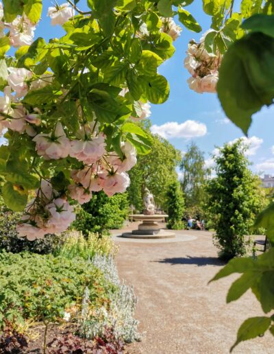 jardinería en Madrid